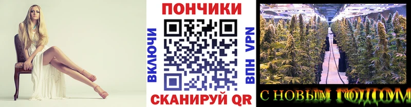 Бошки Шишки гибрид  Нижний Новгород 